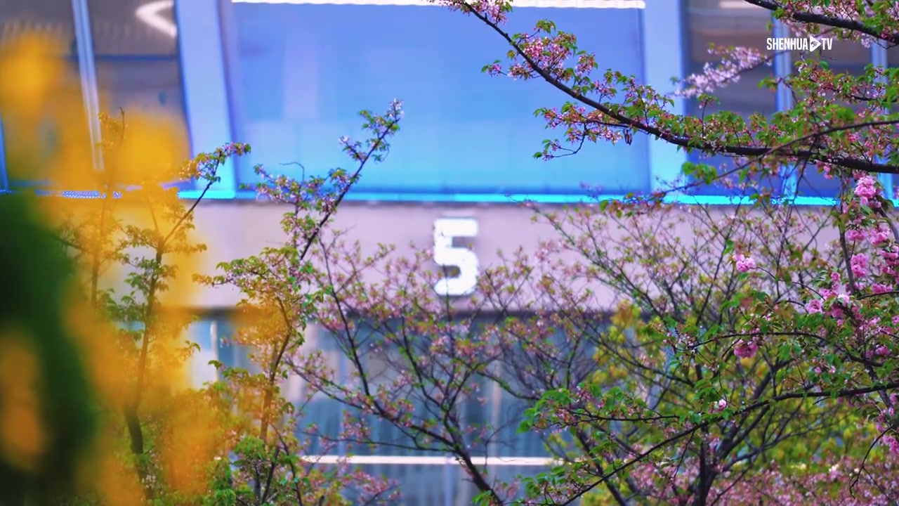 申花主场一球制胜 海港赛季首败