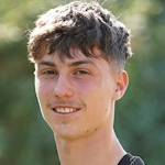 沃伊斯拉夫·久基奇